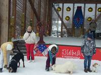 VFL.RU - ваш фотохостинг