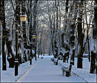 Михайловский сад6