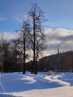 VFL.RU - ваш фотохостинг