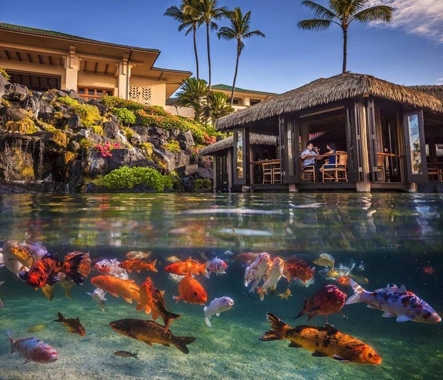 Grand Hyatt, Kauai, Hawaii