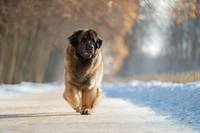 фото Светланы Писаревой15