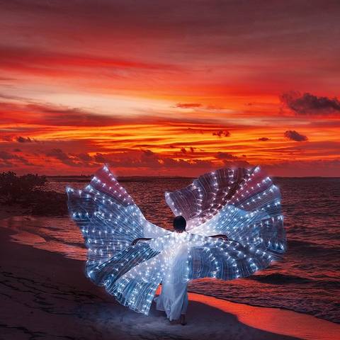 ���� �������� ��������11