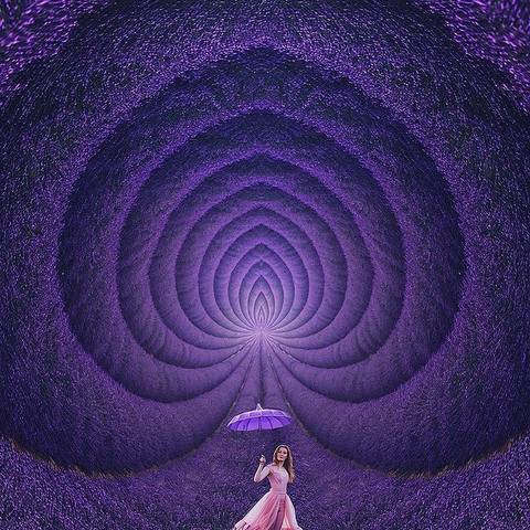 ���� �������� ��������16