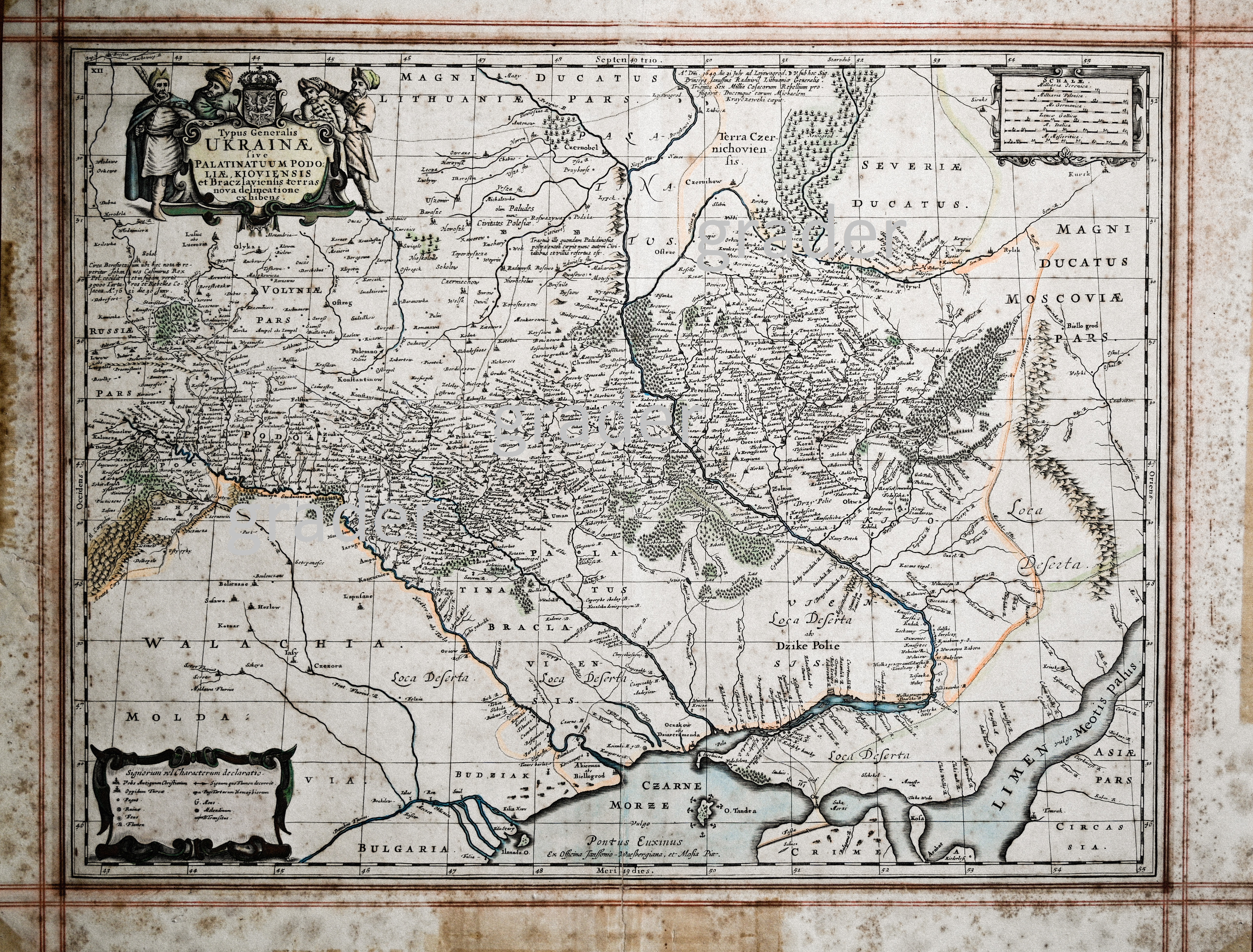 7 (1) — копия