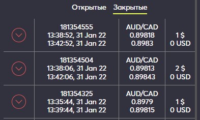 37804693.jpg