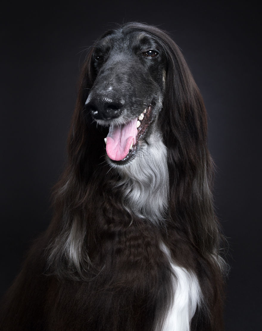 фото Александра Хохлова1