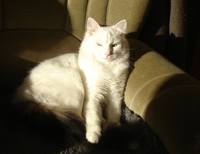 VFL.RU - ваш фотохостинг