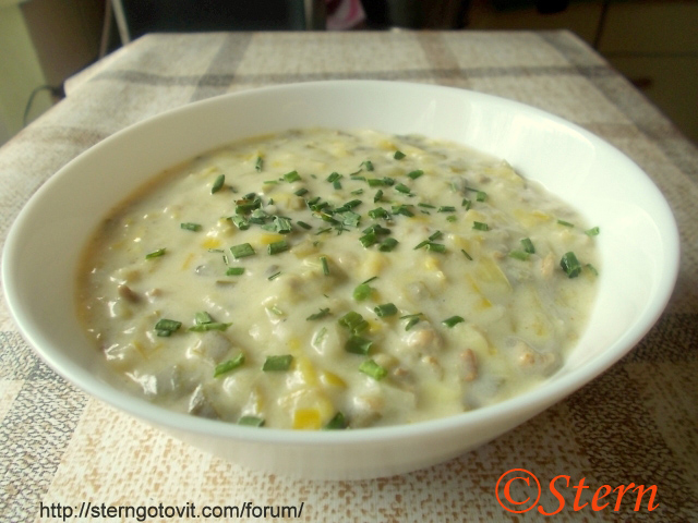 Сырный суп с луком-пореем и мясным фаршем