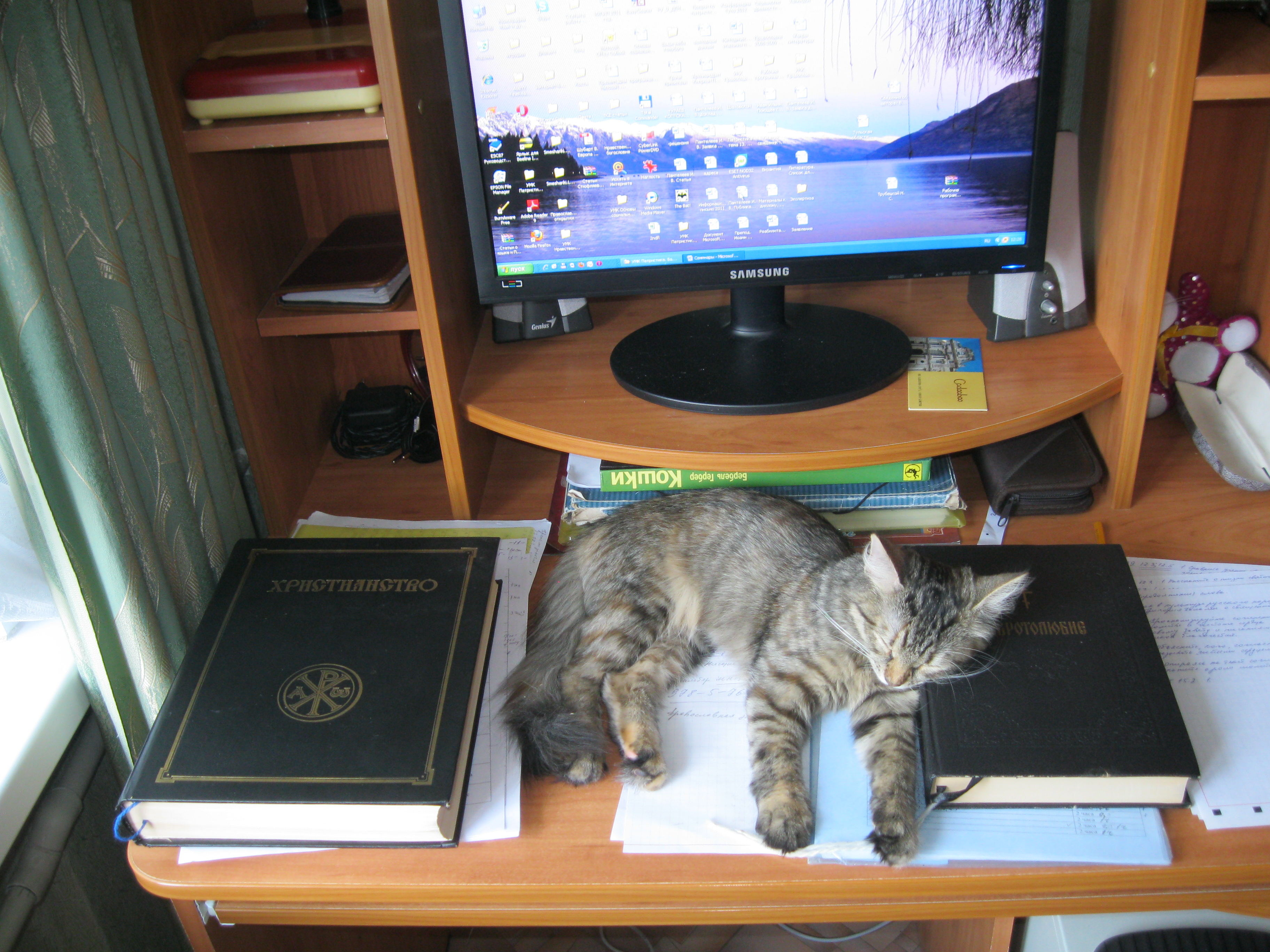 Плюша и К 020