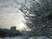 VFL.RU - ваш фотохостинг