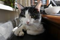 VFL.RU - ваш фотохостинг