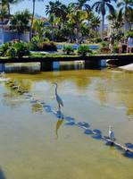 Отель птицы Лен