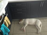 VFL.RU - ваш фотохостинг