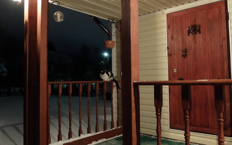 Фрося на даче Фрося на даче