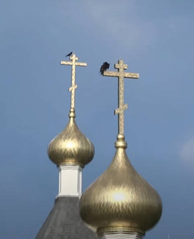 авпвапв