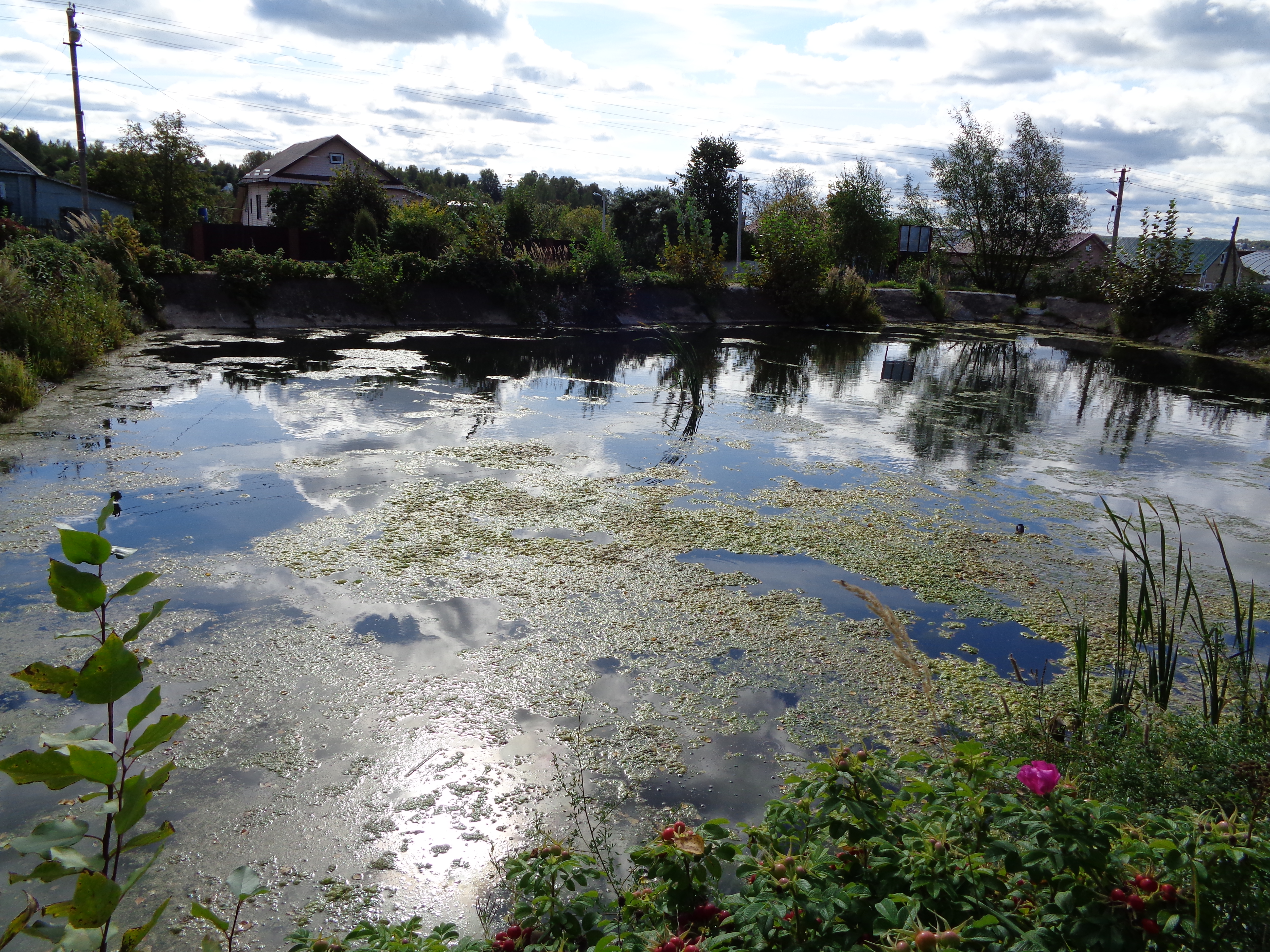 2 д. Литвиново