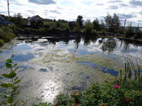 2 д. Литвиново