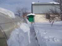 VFL.RU - ваш фотохостинг