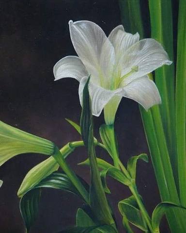  María Marta Morelli 13