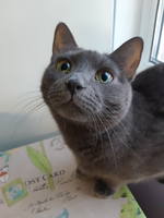 VFL.RU - ваш фотохостинг