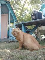 VFL.RU - ваш фотохостинг