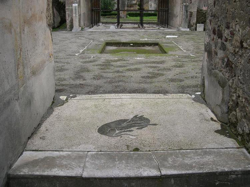 6Спящая собака. Мозаика. Помпеи. VI, 8, 3-5. Casa del Poeta Tragico