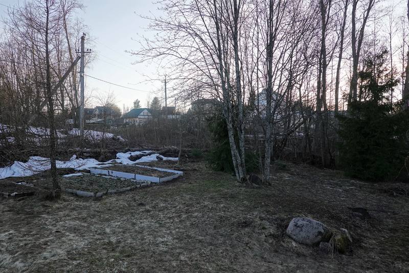 Весенняя дача Весенняя дача