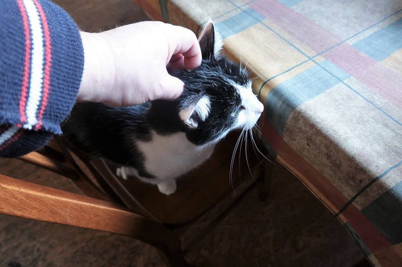 Весенняя дача Весенняя дача