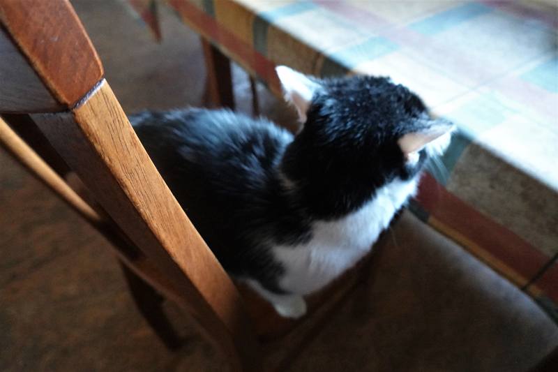 Весенняя дача Весенняя дача