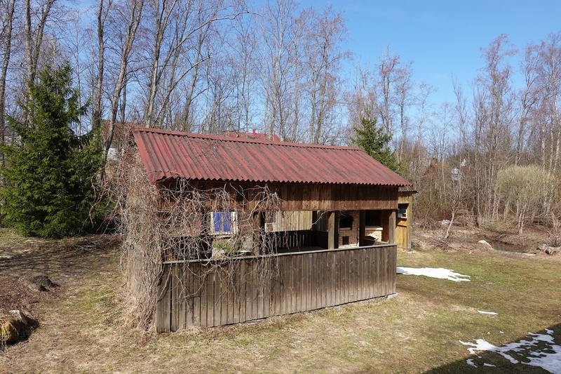 Весенняя дача Весенняя дача