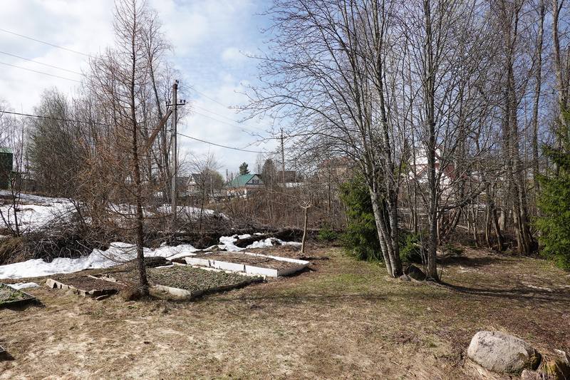 Весенняя дача Весенняя дача