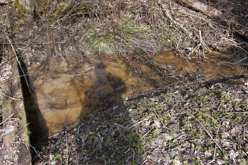 Весенняя дача Весенняя дача