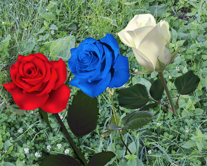 фотоколлаж фотоколлаж