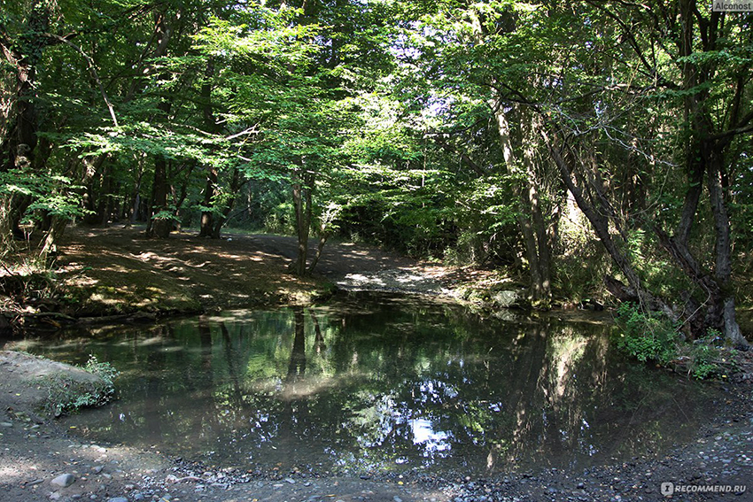 Самурский лес в дагестане карта