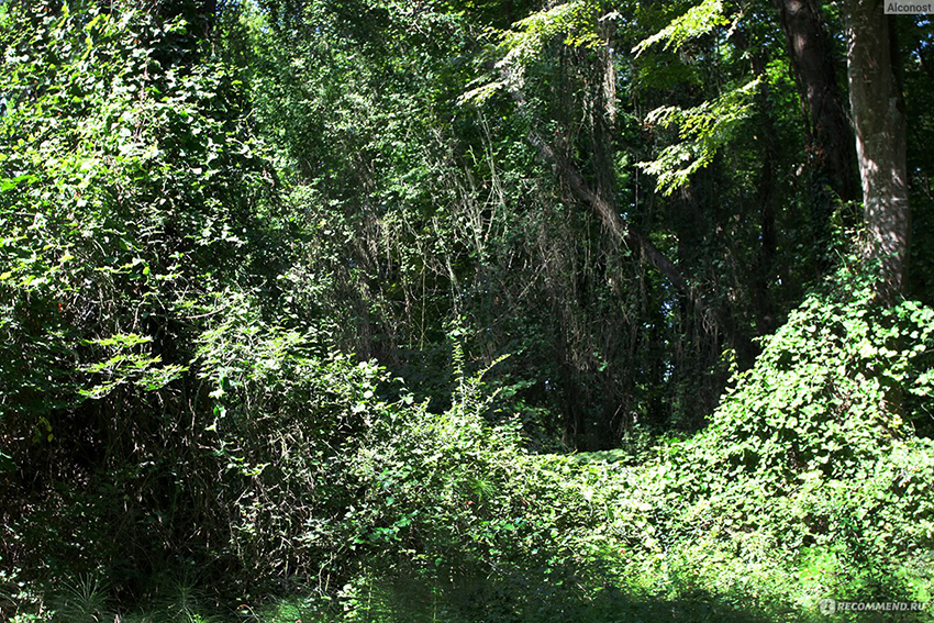 OkcudYXfLKGzPlEex0qLYw