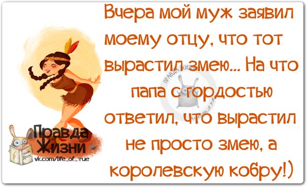 VFL.RU -  