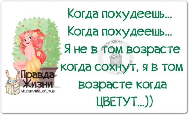 VFL.RU -  
