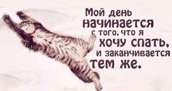 VFL.RU -  