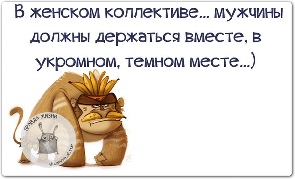 VFL.RU -  