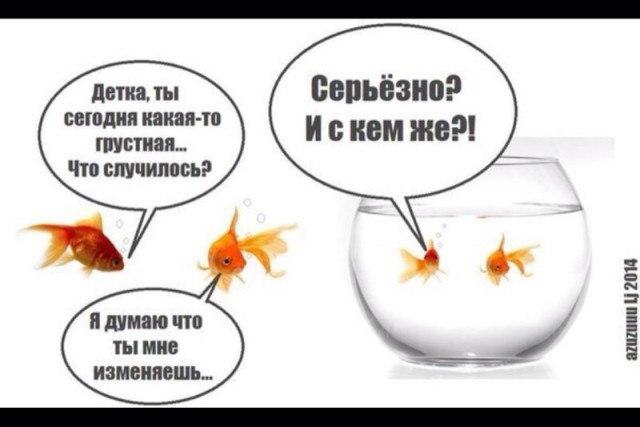 VFL.RU -  