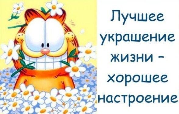 VFL.RU -  