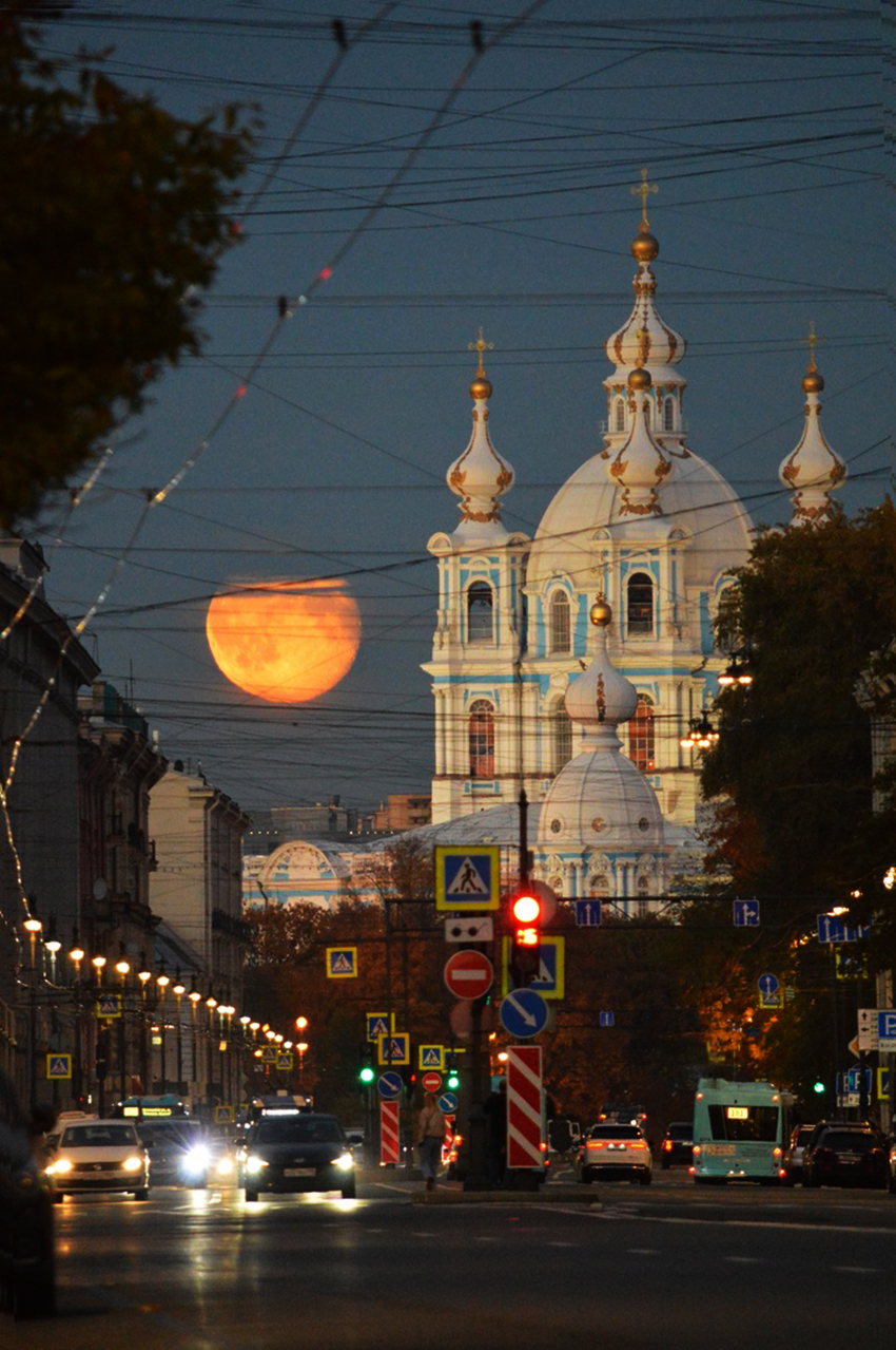 VFL.RU -  