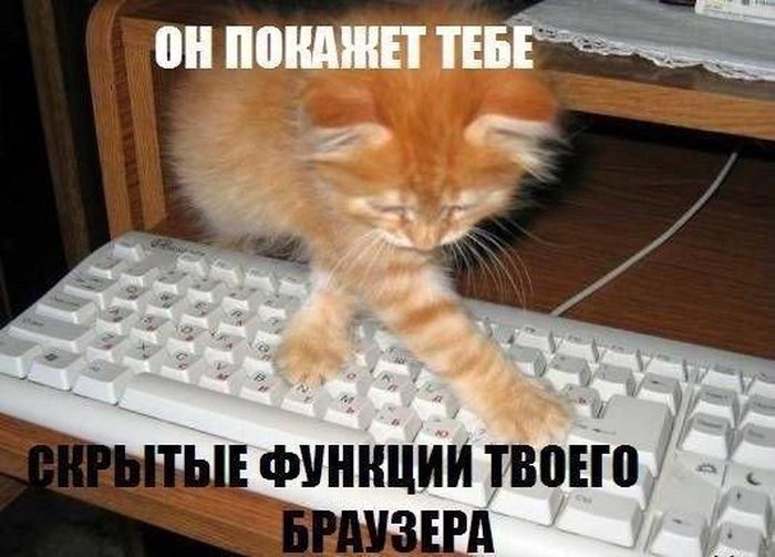 VFL.RU -  