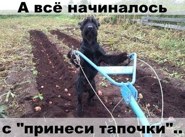 VFL.RU -  