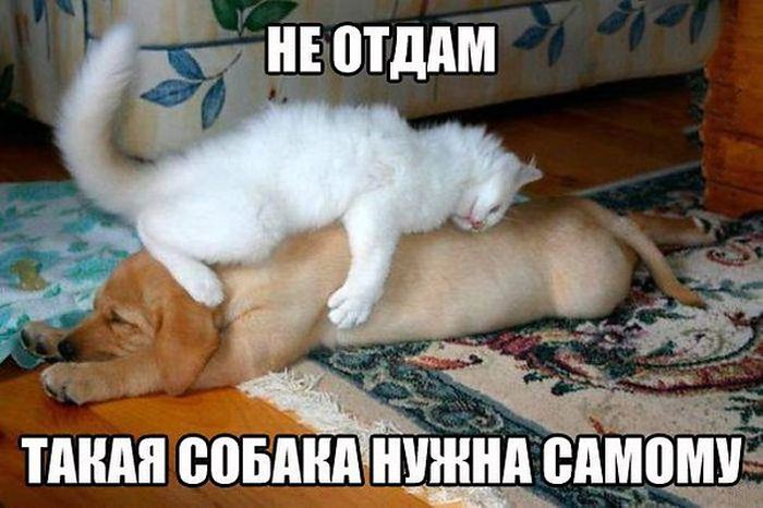 VFL.RU -  