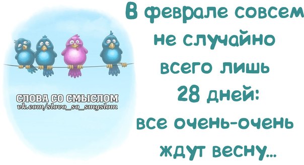 VFL.RU -  
