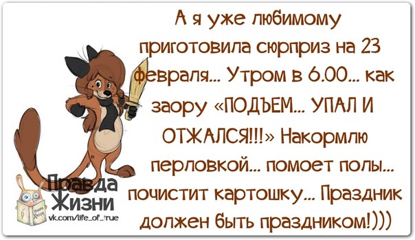 VFL.RU -  