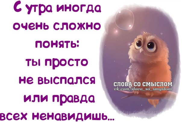VFL.RU -  