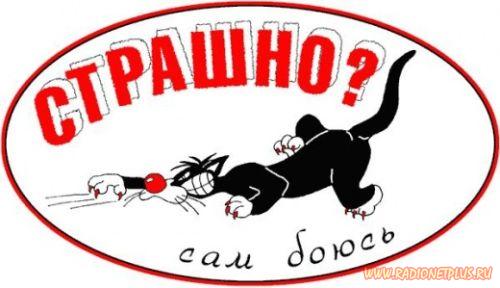 VFL.RU -  