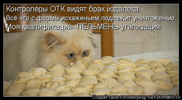 VFL.RU -  